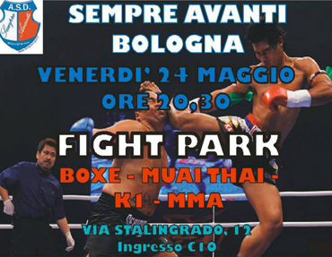 Fight Park